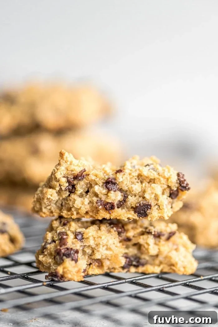 Plant-Powered Quinoa Chocolate Chip Cookies 6 Inside of chocolate chip quinoa cookies showing the texture.