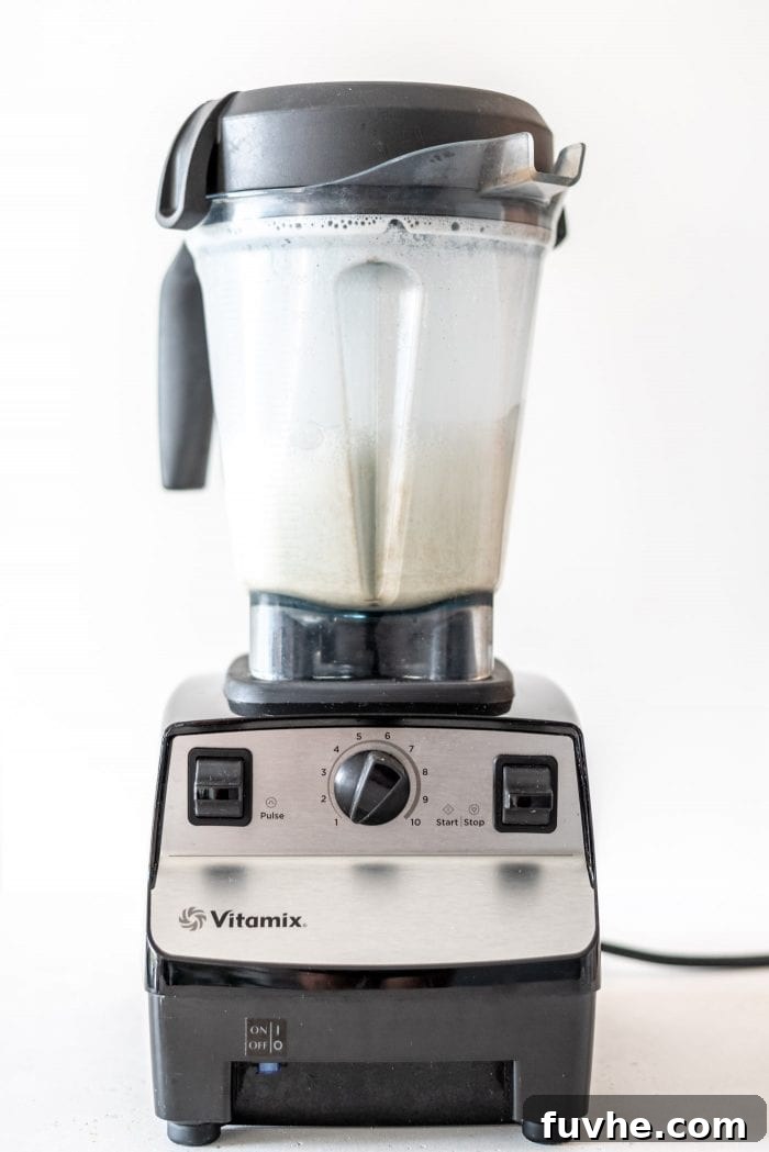 Vitamix blender with blended hemp milk in it.