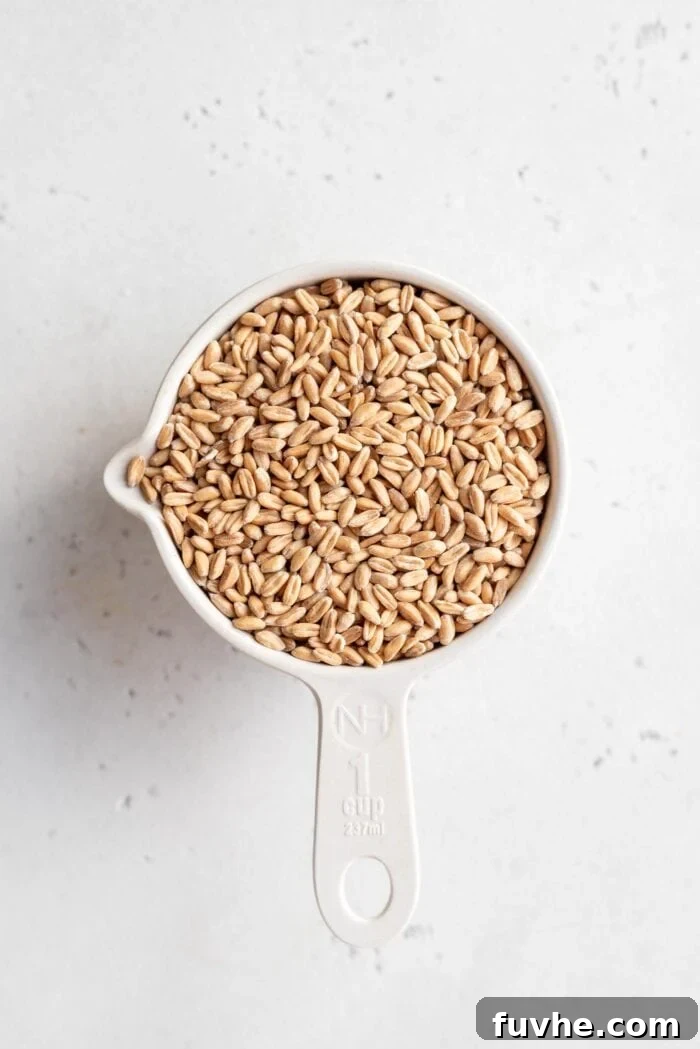 Perfect Instant Pot Farro 3 One cup of dry, uncooked pearled farro kernels precisely measured out in a clear glass measuring cup, waiting to be transformed in the Instant Pot.