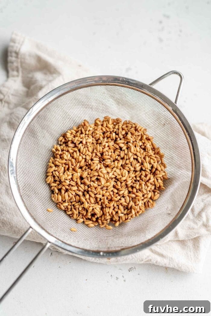 Perfect Instant Pot Farro 4 Freshly rinsed farro kernels glistening in a fine mesh sieve under a stream of cold running water, showing the thorough cleansing process.