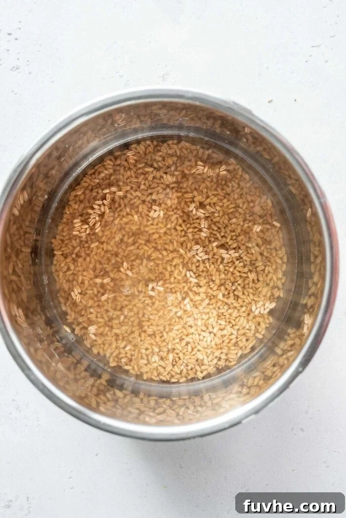 Perfect Instant Pot Farro 5 Dry, rinsed farro, a precise amount of water, and a pinch of sea salt resting at the bottom of an Instant Pot inner pot, perfectly ready for the cooking cycle.