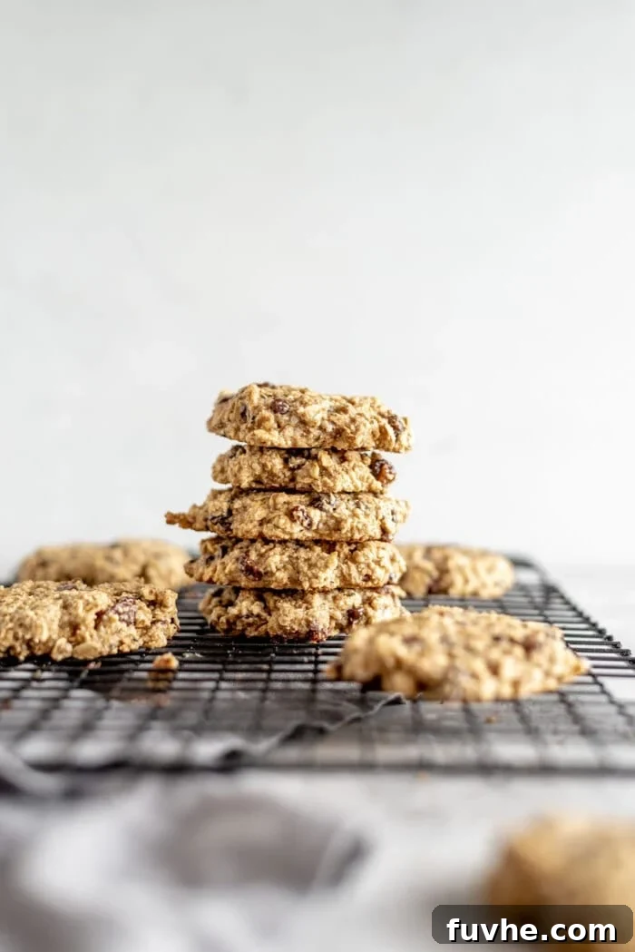 A stack of beautifully baked vegan and gluten-free, healthy oat cookies sitting on brown paper with some raisins scattered around, suggesting freshness.