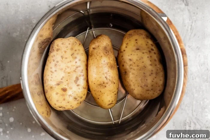 Perfect Instant Pot Baked Potatoes 5 3 Russet potatoes in an Instant Pot.