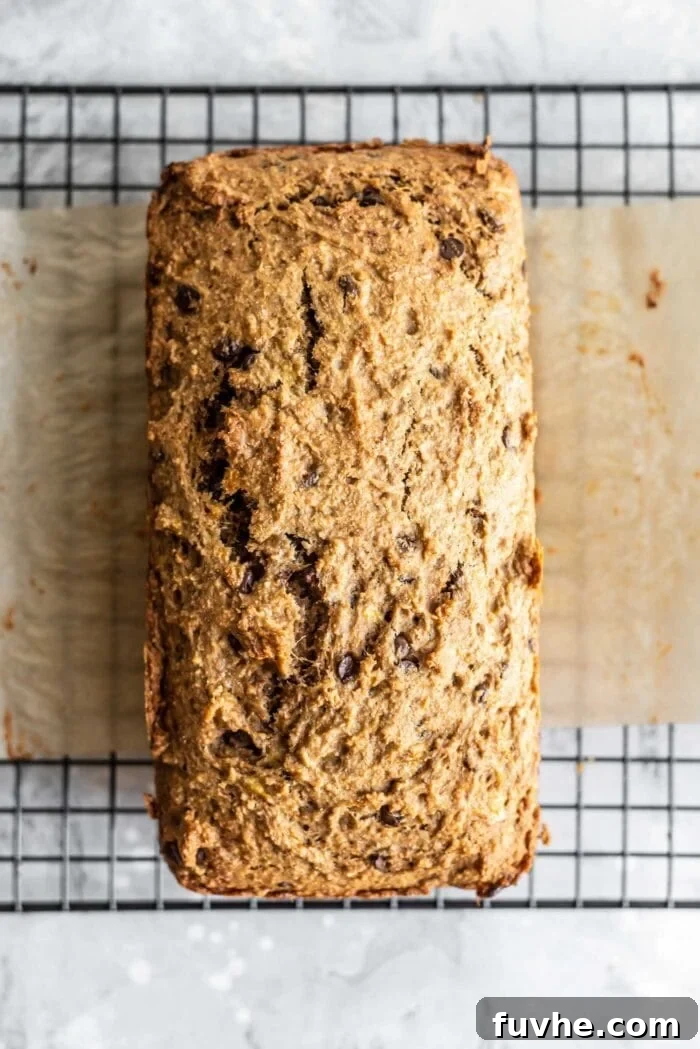 Decadent Vegan Chocolate Chip Banana Loaf 11 A freshly baked loaf of vegan chocolate chip banana bread cooling on a metal wire rack, radiating warmth and delicious aroma.