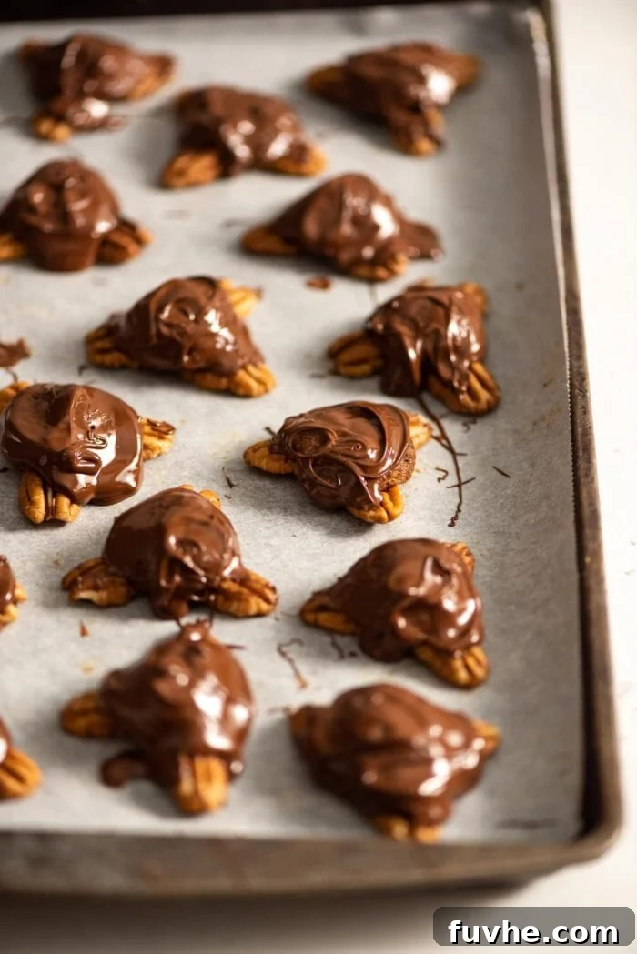 Dates and pecans covered in melted chocolate on a parchment-lined baking tray, waiting to be chilled.