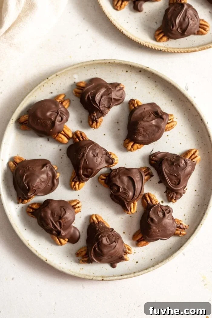 A selection of homemade chocolate vegan turtles artfully arranged on a plate, highlighting their perfect shape and glossy finish.