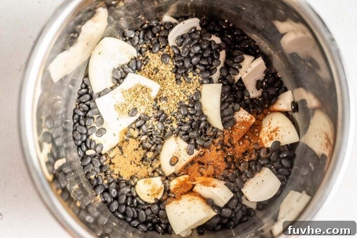 Quick and Creamy Instant Pot Black Beans 3 All the ingredients for healthy vegan Instant Pot Refried Black Beans, including dry black beans, onion, garlic, and spices, combined in an Instant Pot before cooking.