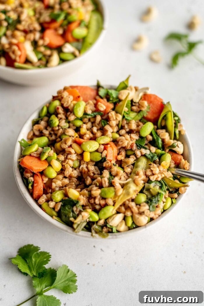 A beautifully presented bowl of vegan fried farro, showcasing the rich colors of carrots, snow peas, edamame, and spinach.