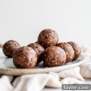 Hazelnut Fuel Bites 6 Plate of hazelnut chocolate chip energy balls, an inviting and healthy snack.