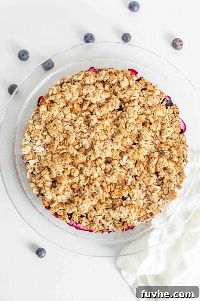 Wholesome Vegan Blueberry Crumble 6 A freshly baked vegan blueberry crisp in a pie dish, with a golden-brown, crispy topping and bubbling blueberry filling, straight from the oven.