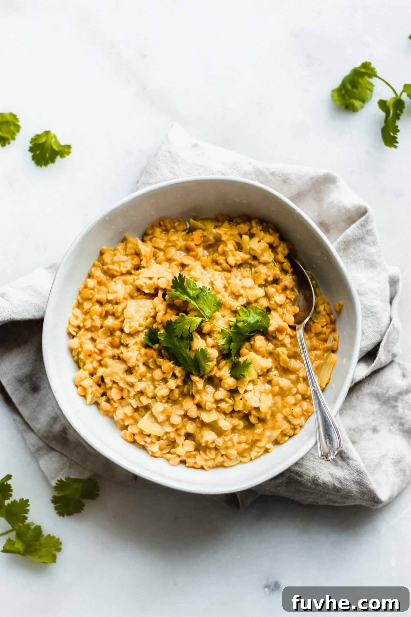 Creamy Vegan Coconut Red Lentil Dahl 2 A vibrant bowl of red lentil dahl, generously topped with fresh cilantro, ready to be served.