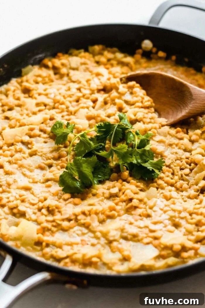 Creamy Vegan Coconut Red Lentil Dahl 7 A large cooking pot filled with creamy red lentil dahl, garnished generously with freshly chopped cilantro.