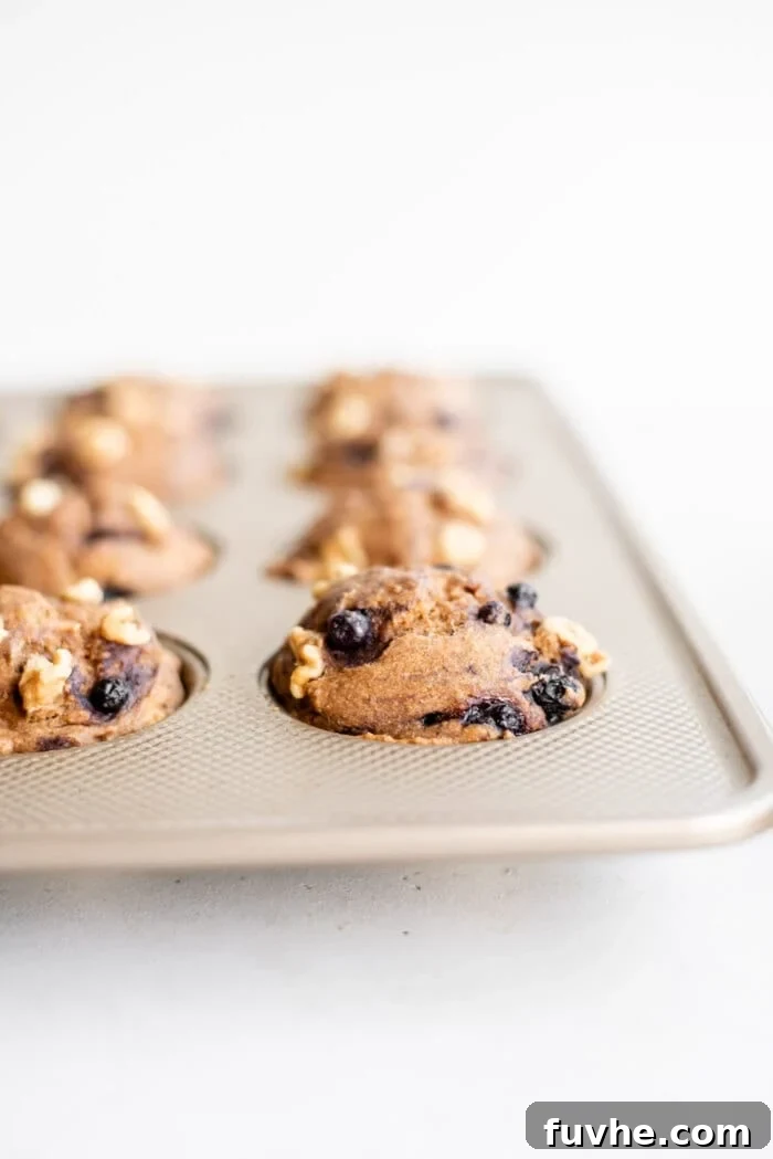 Baked vegan blueberry muffins freshly removed from the oven, still in the muffin tin, displaying golden-brown tops.