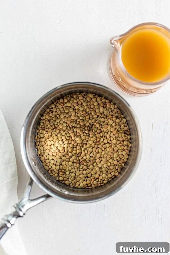Savory Lentil Plantballs 4 Freshly cooked green lentils, perfectly tender, resting in a pot alongside a container of savory vegetable broth, ready for the next step of the recipe.