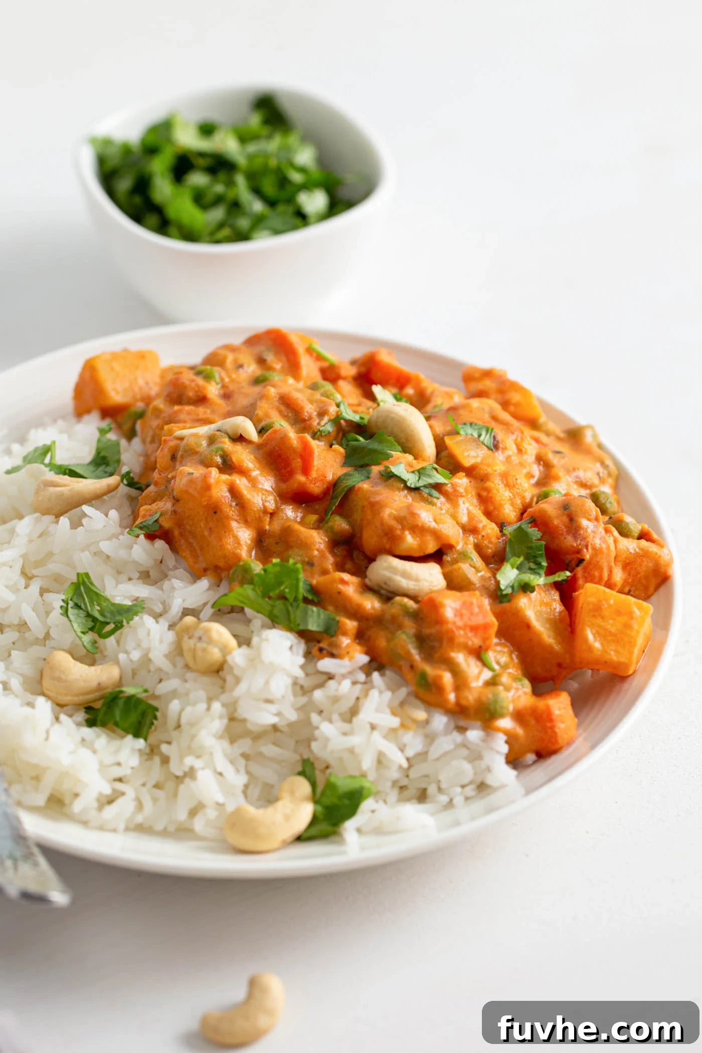 Creamy Vegan Vegetable Korma 2 A vibrant plate of vegan vegetable korma served alongside fluffy rice, garnished with fresh cilantro and crunchy cashews. The korma features tender potatoes, sweet carrots, and crisp celery in a rich, creamy sauce.