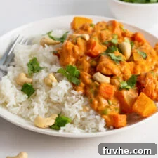 A tantalizing image of a plate filled with fluffy rice and a generous serving of vegan vegetable korma, elegantly topped with fresh cilantro and toasted cashews, showcasing the dish's appeal.