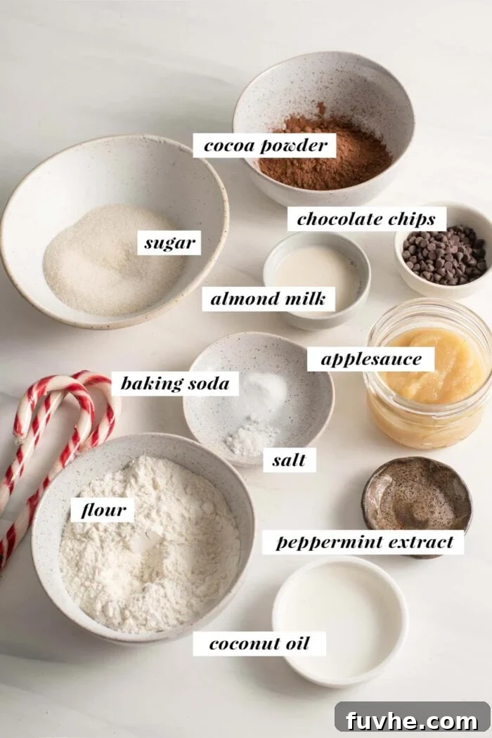 Irresistible Vegan Chocolate Peppermint Delights 3 Visual array of fresh, high-quality ingredients needed to create delicious vegan chocolate peppermint cookies.