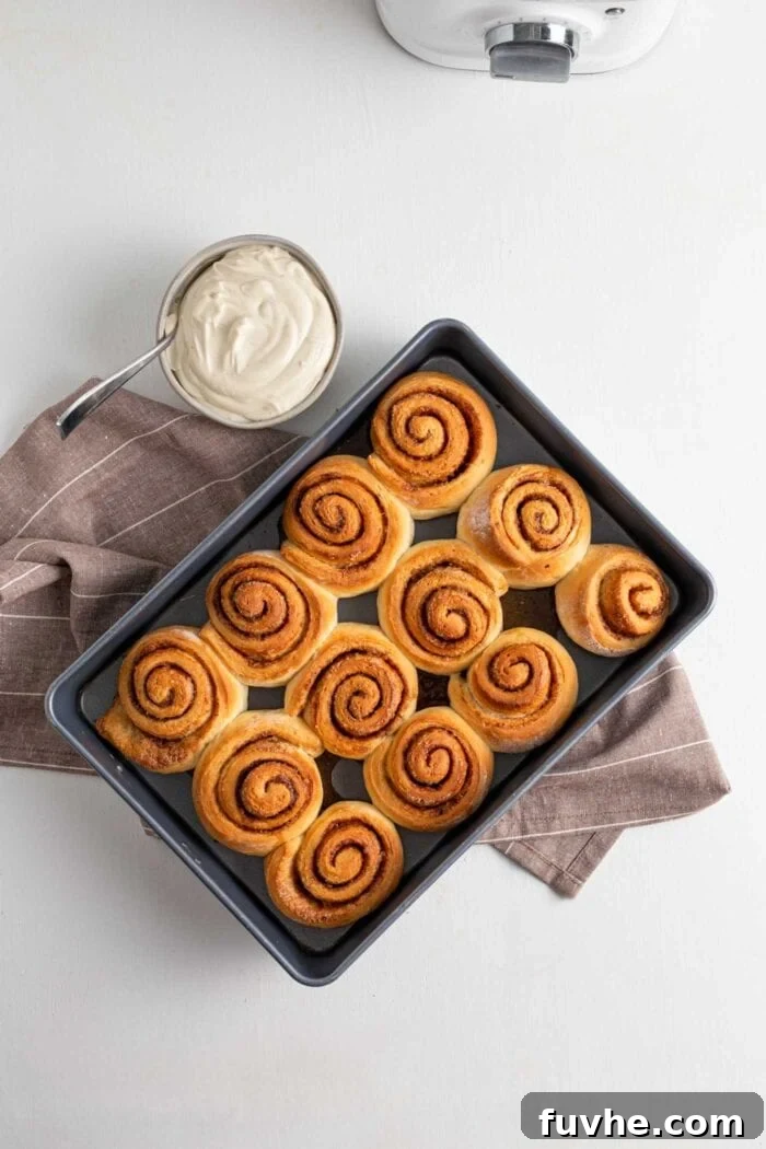 Overhead view of 12 golden brown, baked cinnamon buns perfectly risen in a baking dish.