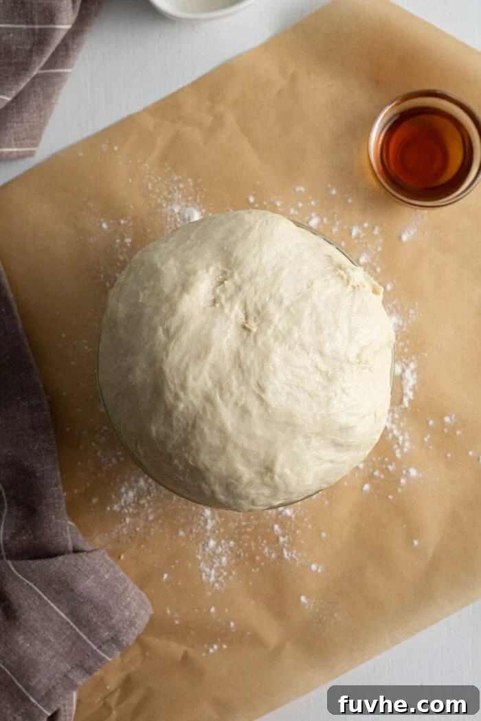 Lightly oiled dough that has beautifully risen into a puffy, domed ball within a mixing bowl, covered for warmth.