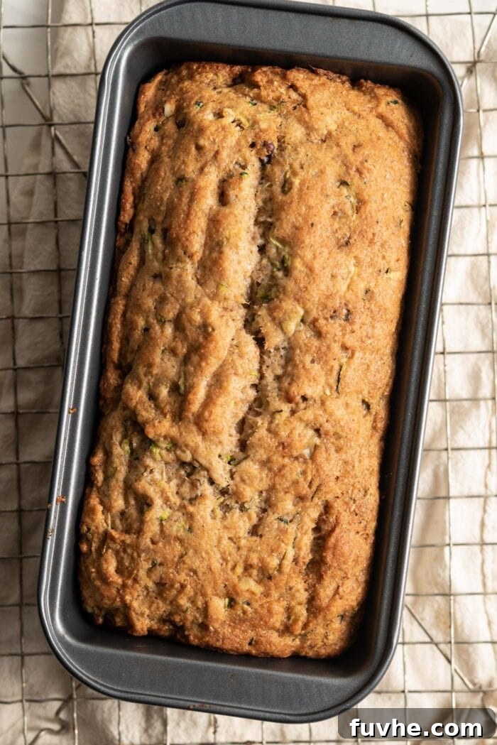 Wholesome Plant-Based Zucchini Bread 12 Overhead view of a perfectly baked zucchini loaf still in its pan.