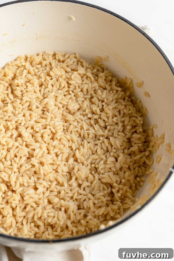 Large pot of cooked orzo.