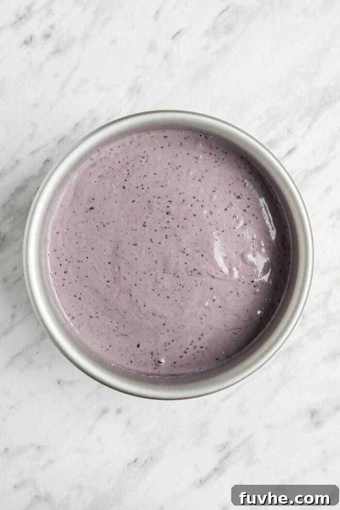 The vibrant purple, creamy raw blueberry cheesecake filling poured over the pecan crust in a springform pan, ready for chilling.