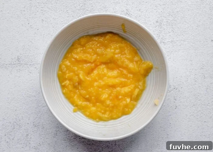 Tropical Mango Chia Dream 5 Bowl of pureed mango.