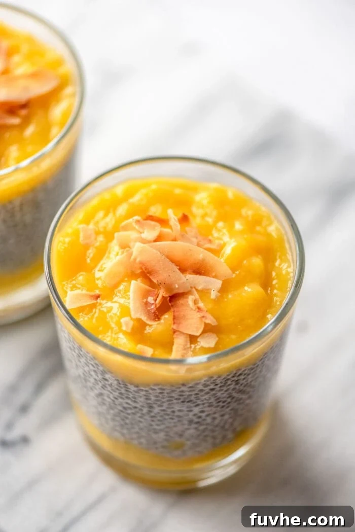 Tropical Mango Chia Dream 7 Overhead view of pureed mango layered over chia seed pudding in a glass jar.