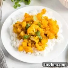 A beautifully presented plate of vegan aloo gobi, with curried potatoes and cauliflower, served over jasmine rice and garnished with cilantro, showcasing its appetizing appeal.