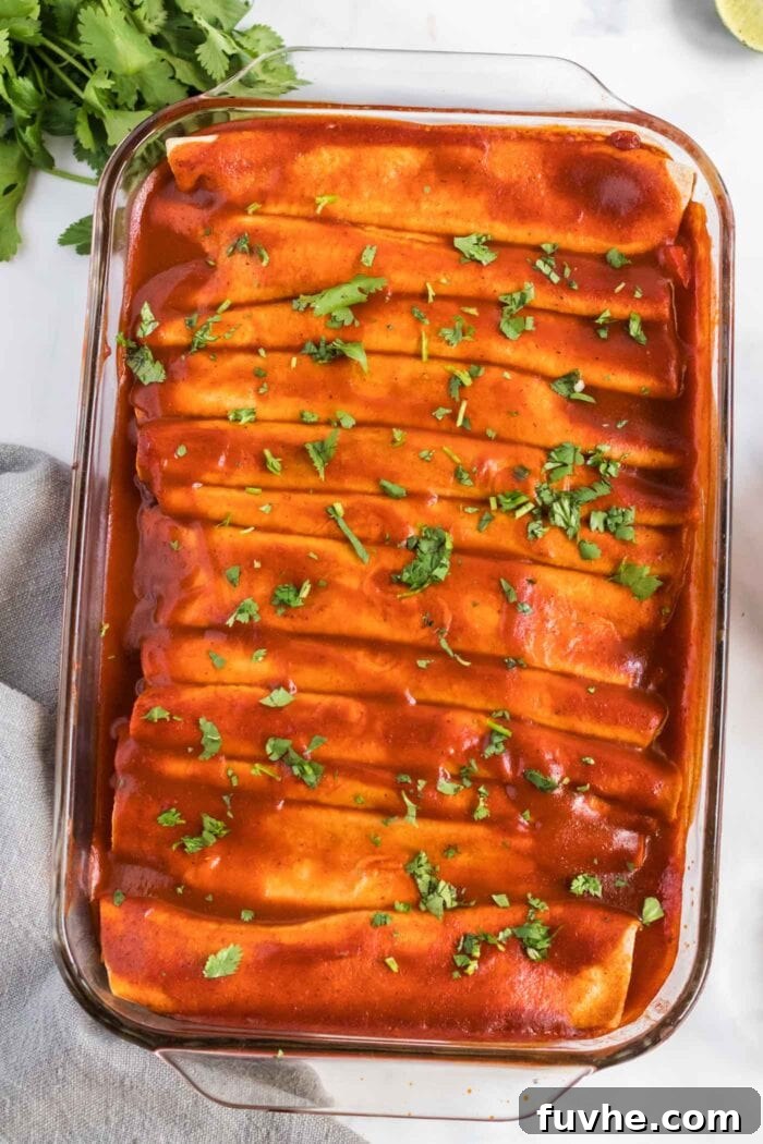 A baking dish filled with perfectly baked enchiladas, generously topped with fresh cilantro, showcasing a delicious golden brown finish.