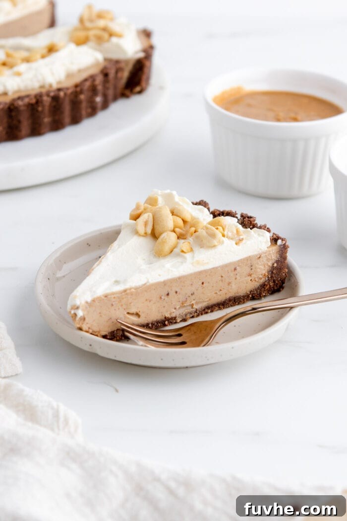 A perfectly sliced piece of vegan peanut butter pie, topped with light whipped cream and chopped peanuts, presented beautifully on a white plate.