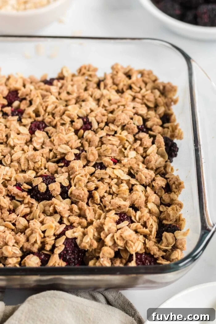 A close-up view of a beautifully baked blackberry crumble, with a golden brown, crispy oat topping and visible bubbling, juicy blackberry filling underneath.
