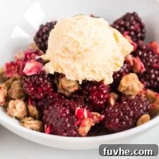 A bowl of warm vegan blackberry crumble, generously topped with a scoop of creamy vanilla ice cream.