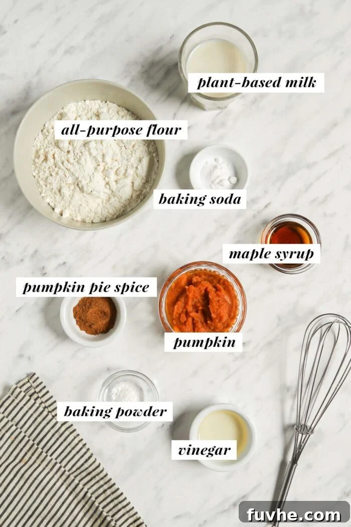 A meticulously arranged visual display of all the key ingredients required for preparing a batch of delicious vegan pumpkin pancakes, each ingredient clearly labeled for easy identification.