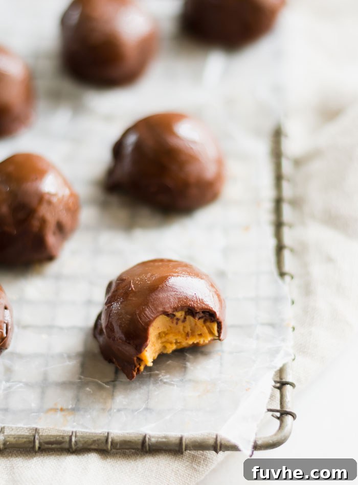 No-Bake Vegan Peanut Butter Chocolate Truffles 4 A single vegan chocolate peanut butter ball, perfectly coated and with a bite taken out, resting on a cooling rack.