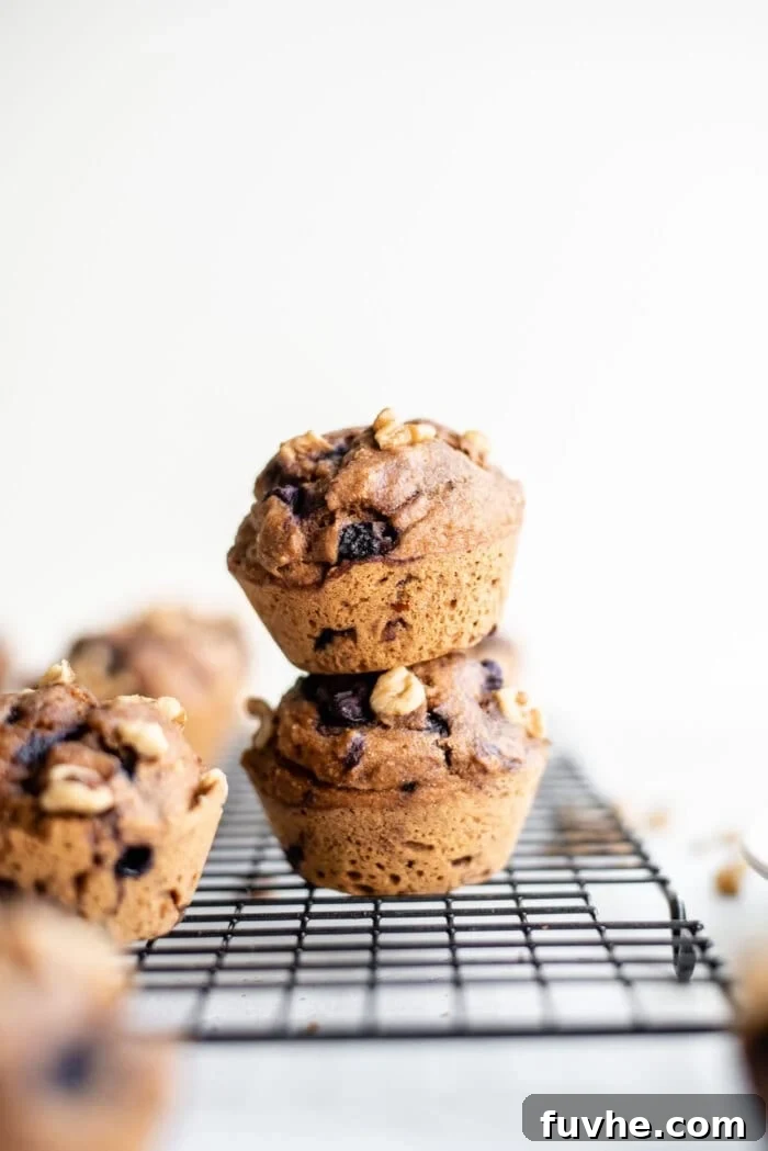 Fuel Your Journey: 14 Vegan Road Trip Snacks 8 Vegan blueberry muffins sitting on a cooling rack.