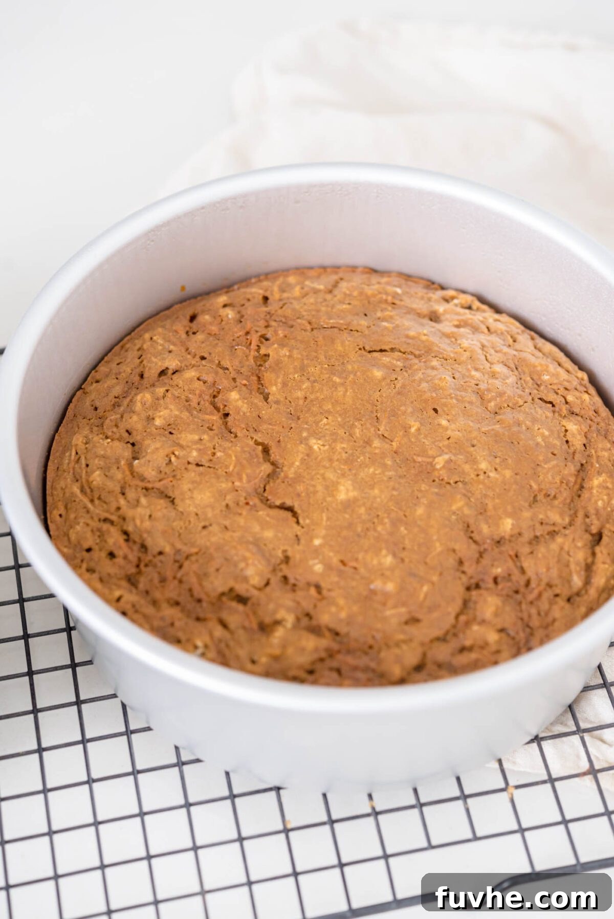 The Perfect Plant-Based Carrot Cake 7 A freshly baked round carrot cake cooling in its pan on a wire rack, steam gently rising, awaiting its frosting.