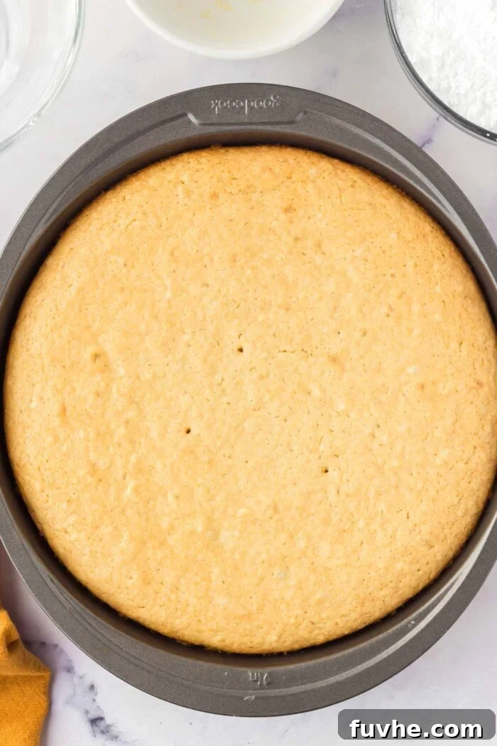 A perfectly baked, golden-brown olive oil cake resting inside a round cake pan, freshly out of the oven.