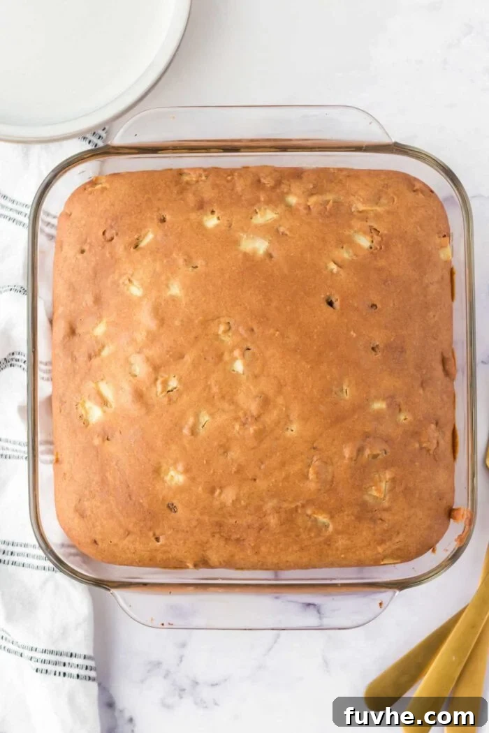 Overhead view of a baked apple cake in a square glass baking dish. You can see pieces of diced apple in the cake and the cake is a light golden brown colour.