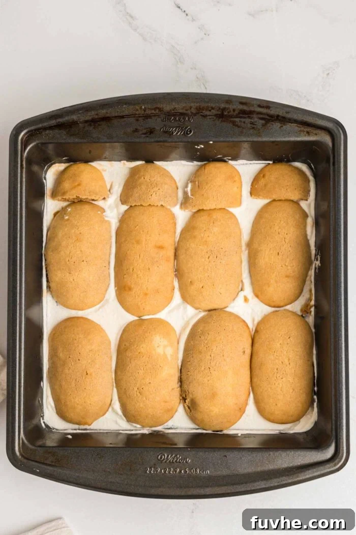 Decadent Vegan Tiramisu 16 Ladyfingers layered over marscapone filling in a square baking pan.