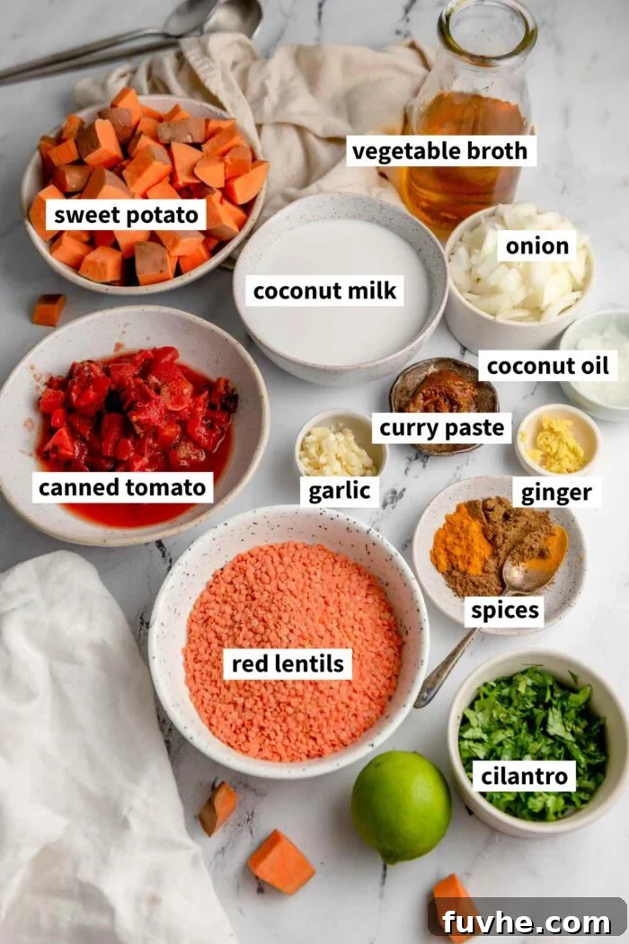 A curated display of all the fresh and pantry ingredients required to prepare a delicious vegan sweet potato and red lentil curry, each item clearly visible.