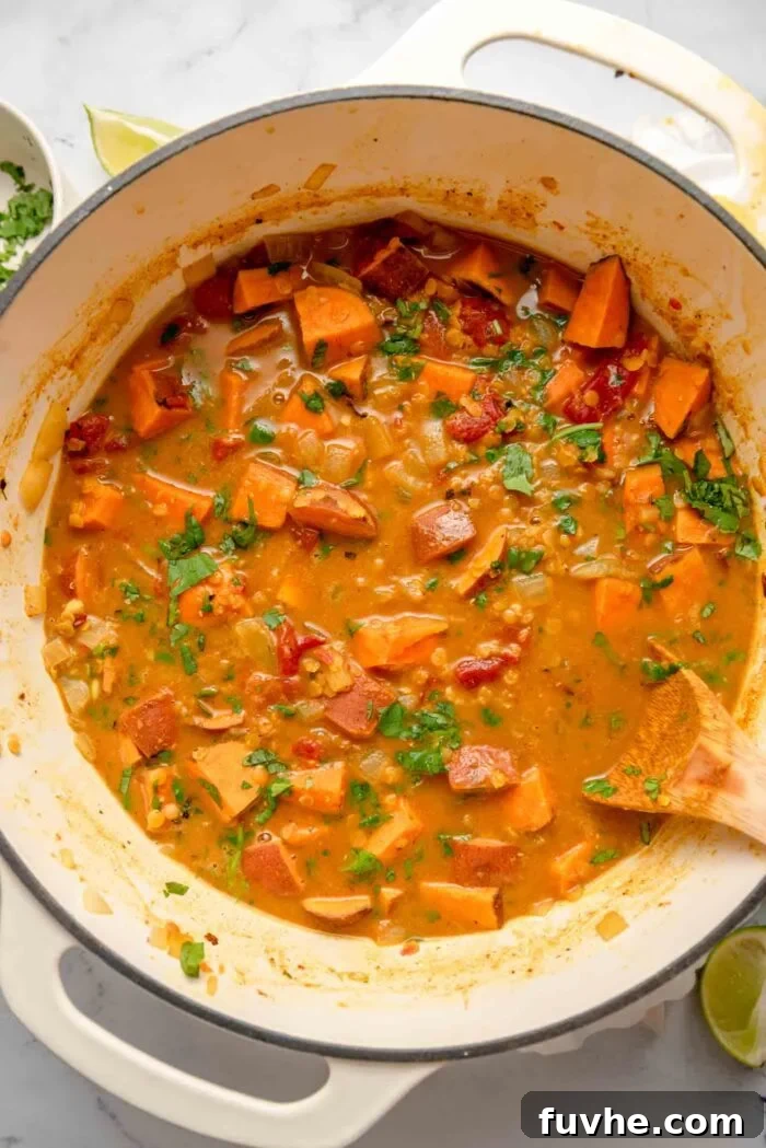 An overhead shot of a pot of creamy sweet potato red lentil curry, beautifully garnished with fresh cilantro, ready to be served.