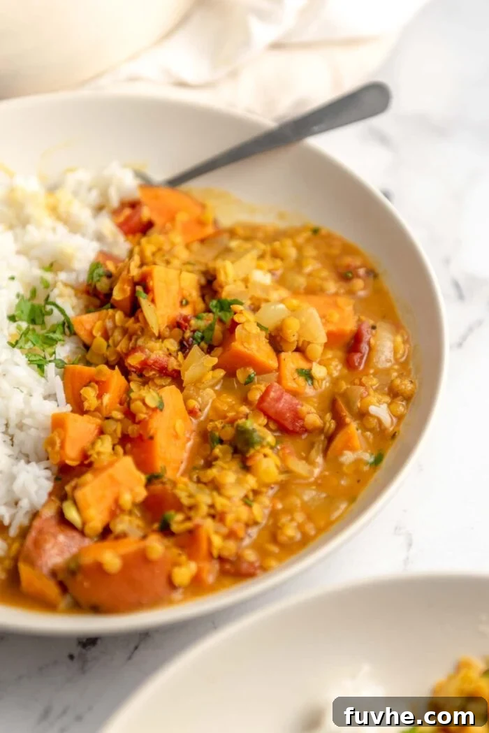 A perfectly plated bowl of sweet potato and lentil curry, accompanied by rice and a sprinkle of fresh cilantro, with a spoon nestled in the dish.