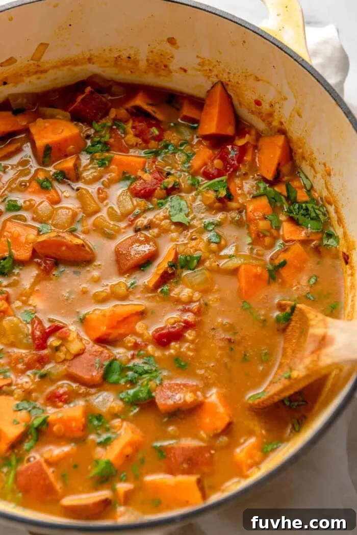 A close-up view of a large pot brimming with sweet potato and red lentil curry, garnished with fresh cilantro and a wooden spoon resting inside.