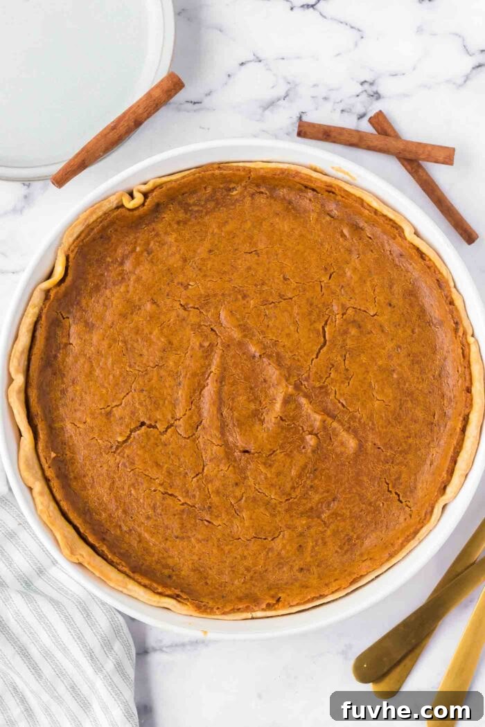 Overhead view of a baked vegan sweet potato pie with a few cinnamon sticks beside it.
