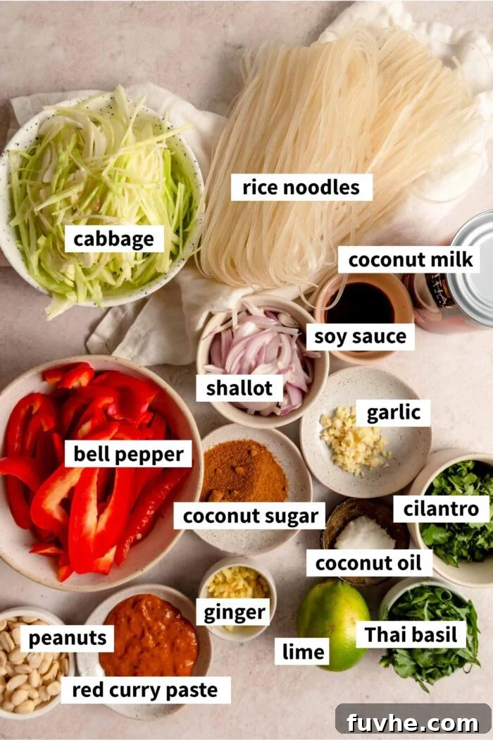 All the ingredients needed for making a Thai red curry noodle recipe, neatly arranged.