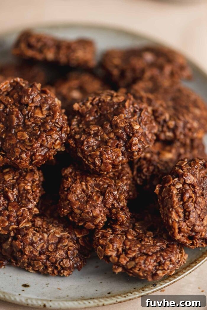 Effortless Vegan Cookie Delights 8 A close-up shot of a plate brimming with delectable chocolate no-bake cookies, showcasing their rich texture and inviting appearance.