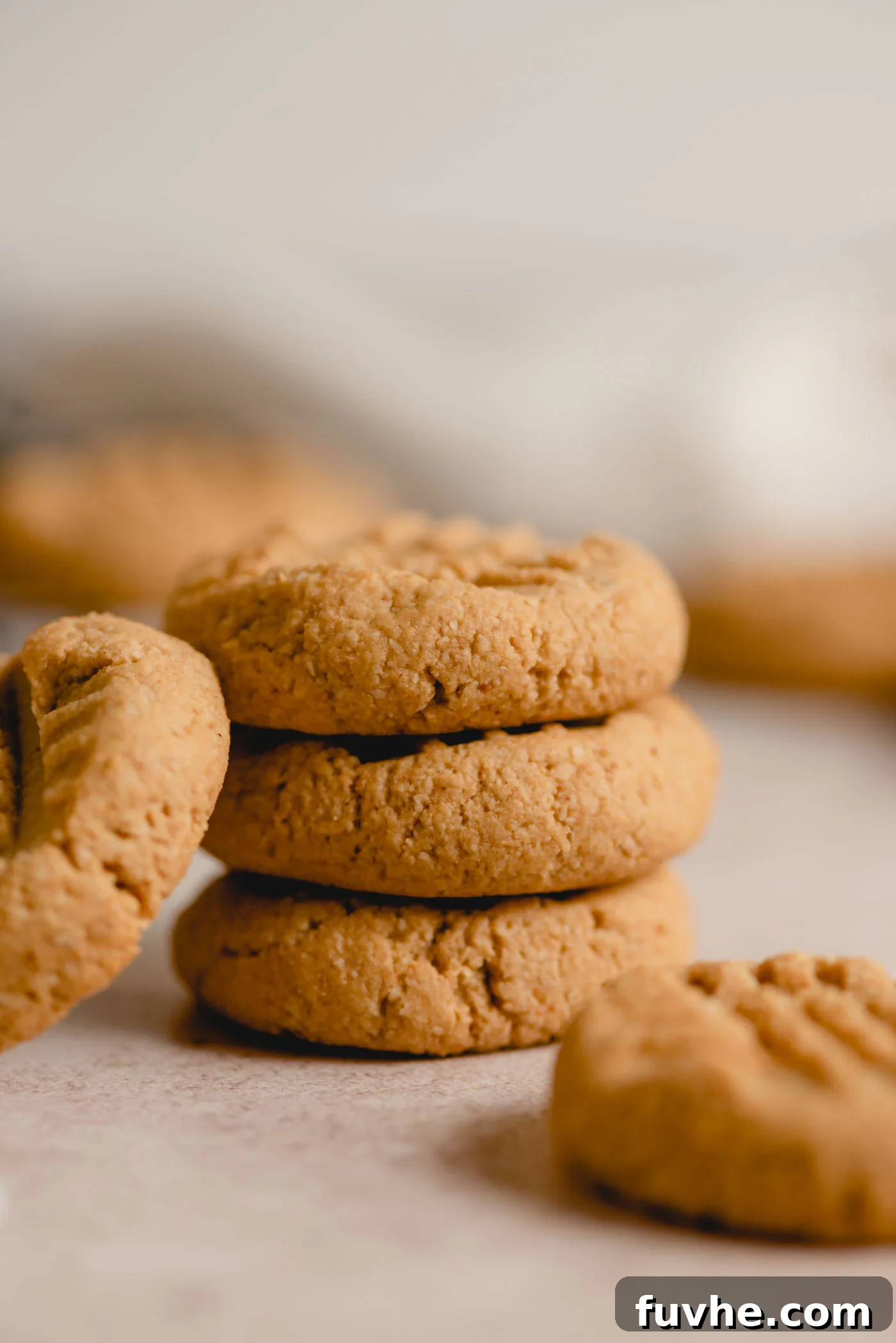 A stack of 3 small peanut butter cookies with another cookie leaning against the stack. The cookies have a crisscross pattern on top.