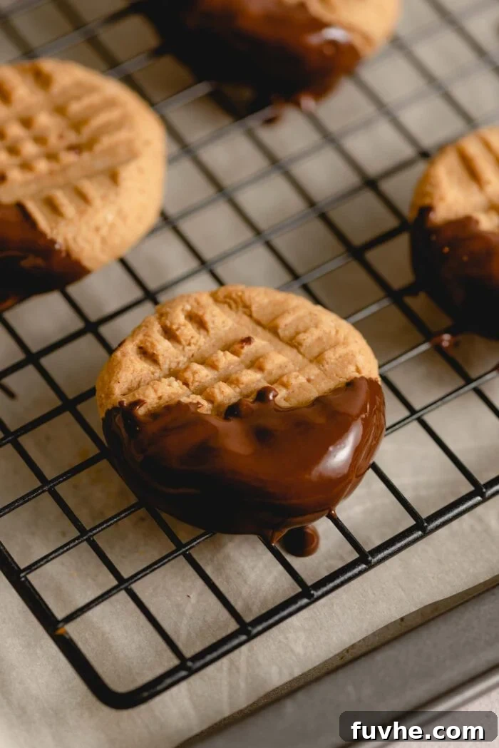 A peanut butter cookie that's dipped in chocolate covering half of the cookie.