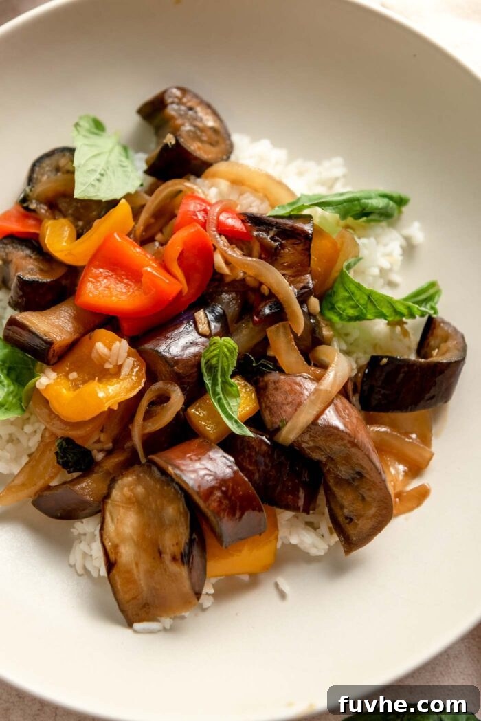 A bowl of stir fried Thai basil eggplant served over rice.